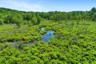 368 State Route 437, White Haven, PA 18661 - Photo 101