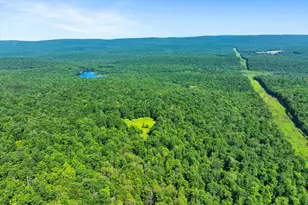 368 State Route 437, White Haven, PA 18661 - Photo 87