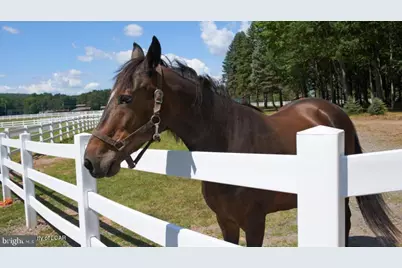 0 White Oak, Hazle Township, PA 18202 - Photo 45