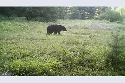 228 Huntington Creek, Sweet Valley, PA 18656 - Photo 121