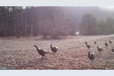 228 Huntington Creek, Sweet Valley, PA 18656 - Photo 117