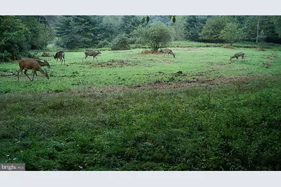 228 Huntington Creek, Sweet Valley, PA 18656 - Photo 113