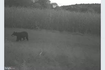 228 Huntington Creek, Sweet Valley, PA 18656 - Photo 95