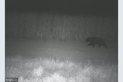 228 Huntington Creek, Sweet Valley, PA 18656 - Photo 93