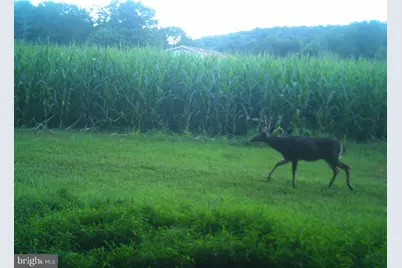 228 Huntington Creek, Sweet Valley, PA 18656 - Photo 91