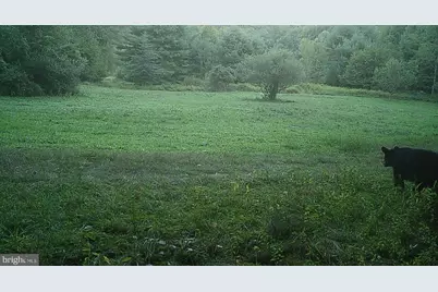 228 Huntington Creek, Sweet Valley, PA 18656 - Photo 127