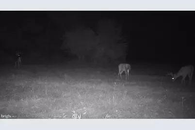 228 Huntington Creek, Sweet Valley, PA 18656 - Photo 107