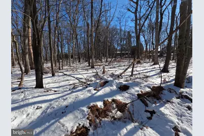 00 Hemlock Road, Bear Creek Township, PA 18702 - Photo 11