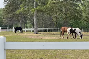 968 Scots Pne Ln, Hazle Township, PA 18202 - Photo 91