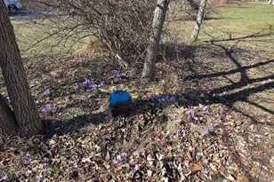 67 Confers Ln, Berwick, PA 18603 - Photo 13