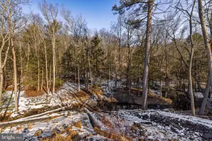 854 Lily Lake Rd, Wapwallopen, PA 18660 - Photo 35