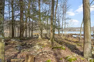 414 Ice Harvest Dr, Mountain Top, PA 18707 - Photo 19