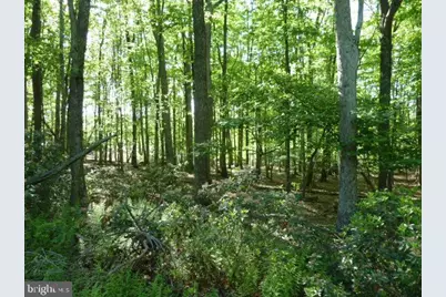 69 Edge Rock Drive, Drums, PA 18222 - Photo 13