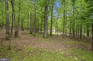 208 Owego Dr, Hazleton, PA 18202 - Photo 13