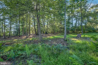 33 Old Berwick, Drums, PA 18222 - Photo 31