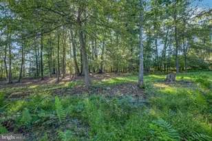 33 Old Berwick, Drums, PA 18222 - Photo 31