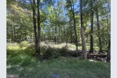 0 Kickapoo Drive, Hazle Township, PA 18013 - Photo 5