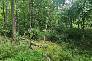 15 Gerloff Rd, Schwenksville, PA 19473 - Photo 79