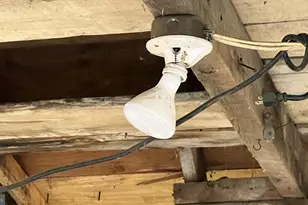 316 Gerard Ave, Elkins Park, PA 19027 - Photo 5