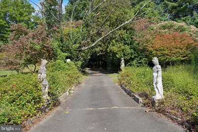 341 Cedar Road, Elkins Park, PA 19027 - Photo 37