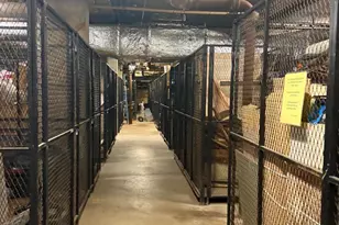 1001 City Ave, Wynnewood, PA 19096 - Photo 73