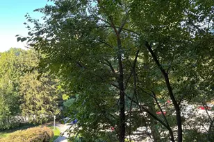 7900 Old York Rd, Elkins Park, PA 19027 - Photo 15