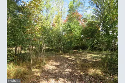 506 Kane Drive, Ambler, PA 19002 - Photo 41