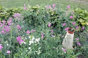 1100 Cressman Rd, Schwenksville, PA 19473 - Photo 69