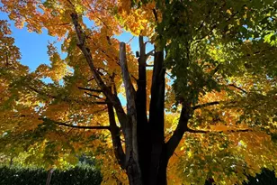 106 Montgomery Ave, Erdenheim, PA 19038 - Photo 49