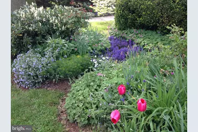 124 Grandview Road, Ardmore, PA 19003 - Photo 59