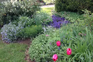 124 Grandview Rd, Ardmore, PA 19003 - Photo 59