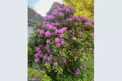 630 Washington Lane, Jenkintown, PA 19046 - Photo 89