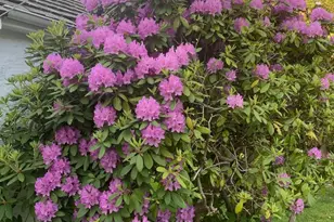 630 Washington Ln, Jenkintown, PA 19046 - Photo 89