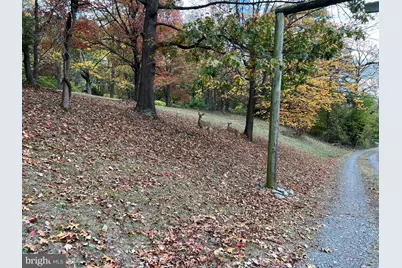 1440 Farmington Avenue, Pottstown, PA 19464 - Photo 57