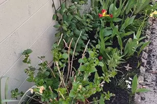 208 E Broad St, Souderton, PA 18964 - Photo 35