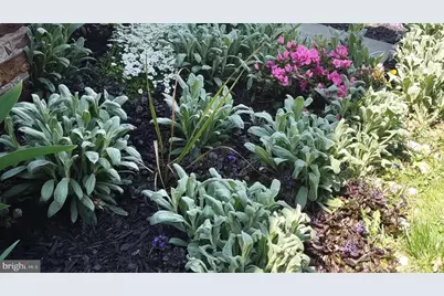 208 E Broad Street, Souderton, PA 18964 - Photo 37