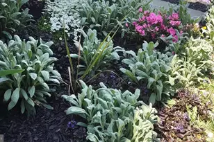 208 E Broad St, Souderton, PA 18964 - Photo 37