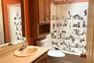 764 Aspen Cir, Red Hill, PA 18076 - Photo 33