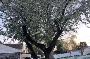 1180 Ballytore Rd, Huntingdon Valley, PA 19006 - Photo 31