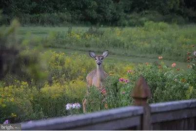 149 Splitrail Lane, Blue Bell, PA 19422 - Photo 37