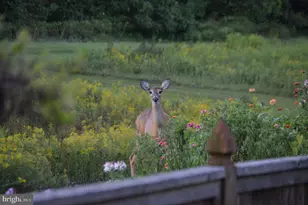 149 Splitrail Ln, Blue Bell, PA 19422 - Photo 37