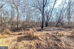 7 Vera Ln, Conshohocken, PA 19428 - Photo 59