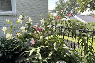 357 Sprague Rd, Penn Valley, PA 19072 - Photo 43