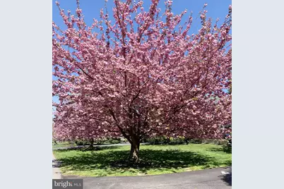 357 Sprague Road, Penn Valley, PA 19072 - Photo 41