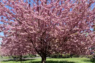 357 Sprague Rd, Penn Valley, PA 19072 - Photo 41