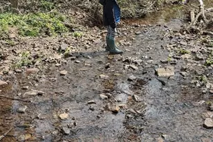 1520 Susan Dr, Lansdale, PA 19446 - Photo 41