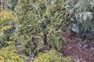 2008 Whitpain Hills, Blue Bell, PA 19422 - Photo 115