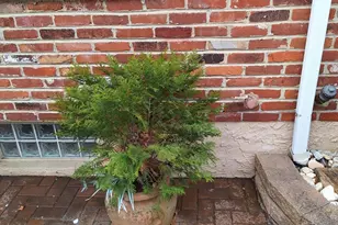 2008 Whitpain Hills, Blue Bell, PA 19422 - Photo 119