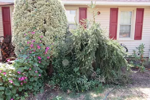 1105 Wilson St, Pottstown, PA 19464 - Photo 69