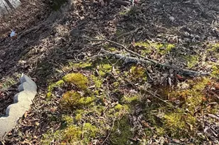 1732 Baghurst Alley, Harleysville, PA 18957 - Photo 17